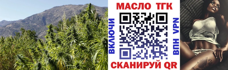 ТГК концентрат Сланцы