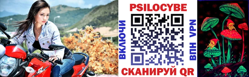 Псилоцибиновые грибы GOLDEN TEACHER где найти Сланцы